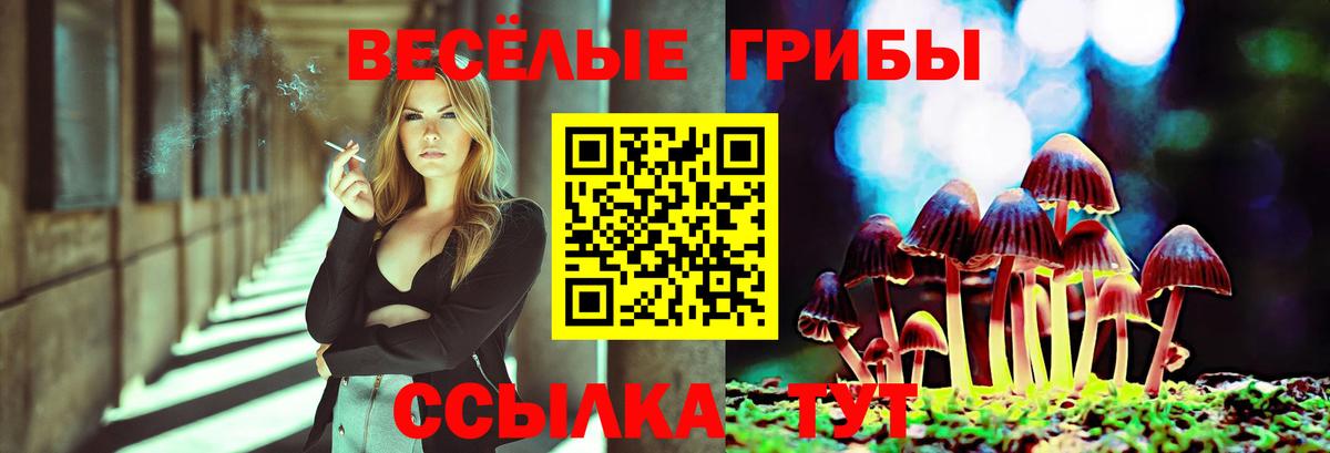 Ессентуки  Галлюциногенные грибы Psilocybine cubensis  Вход с VPN 